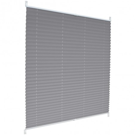 25mm Custom-Made Metallic Pleated Blind – Filtering and Thermal