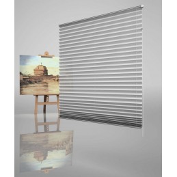 25mm Custom-Made Metallic Pleated Blind – Filtering and Thermal