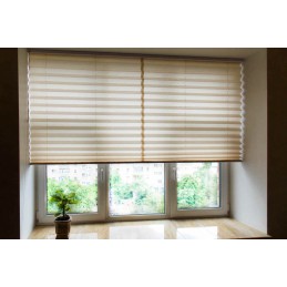 25mm Custom-Made Metallic Pleated Blind – Filtering and Thermal